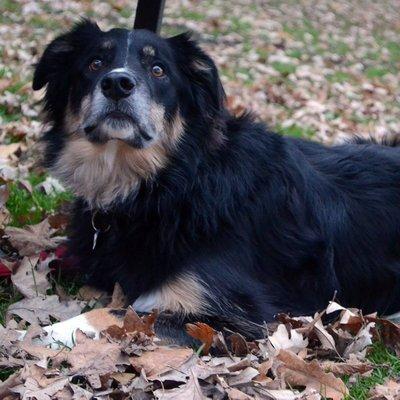 Deirdre Handcrafted Jewelry & Rock Paper Silver Shop