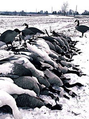 True Kansas Outdoors