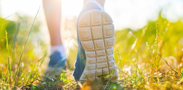 Monroe Foot & Ankle Care: Elliott Perel, DPM, FACFAS