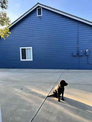 Marz Painting Service