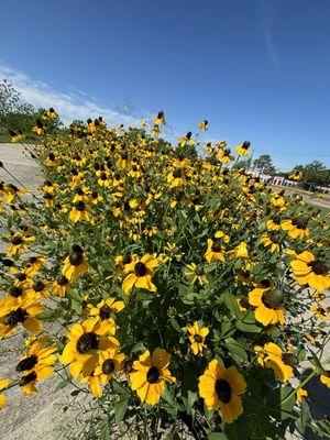 Willow Waterhole Conservation Reserve