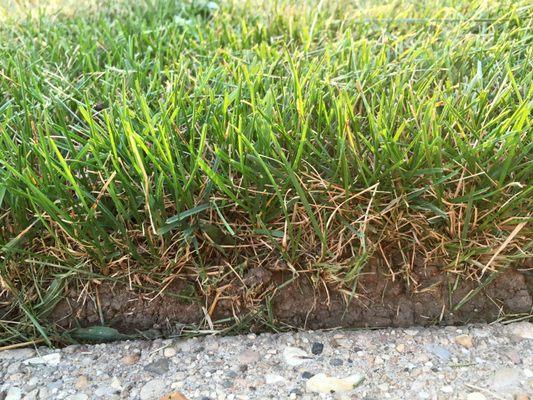 DTM Landscaping and Remolding