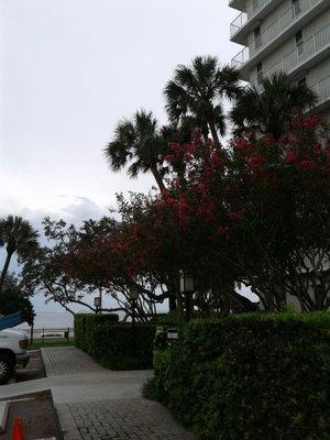 A portion of the well-landscaped grounds