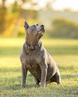 Gretchen Otero Photography