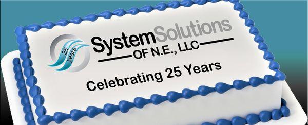 System Solutions of NE
