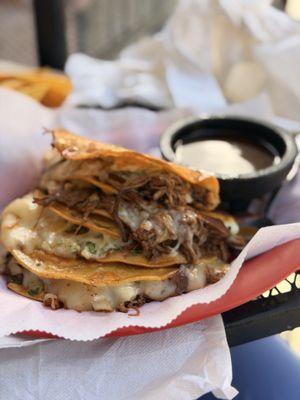 Quesabirria tacos yum