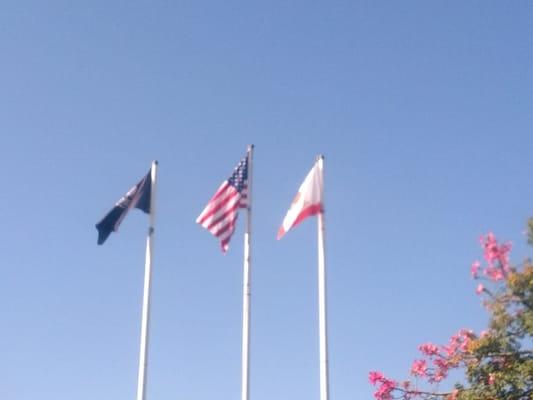 Flags over the park.