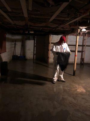 Tri-state Removal & Restoration