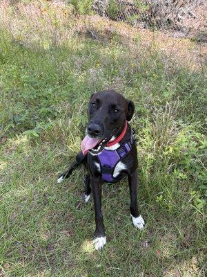 Bell Creek Nature Preserve