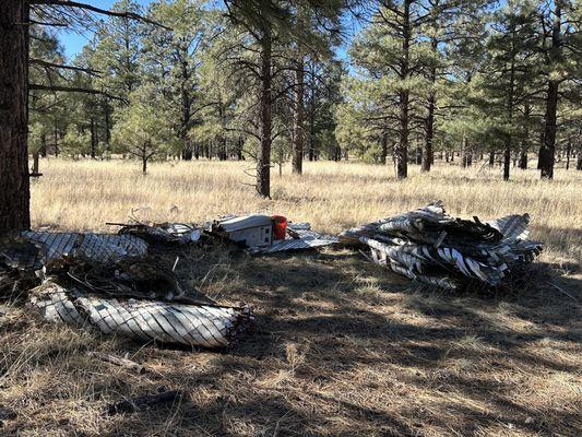 Little Elden Springs