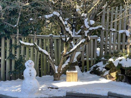 This is the precious fence. Absolutely disaster!