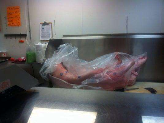 Teloloapan Meat Market