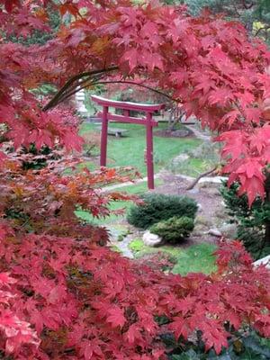 Schedel Arboretum & Gardens