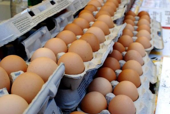 Knoll Krest Farm @ Union Square Greenmarket