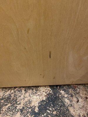 South Beach Tanning Company