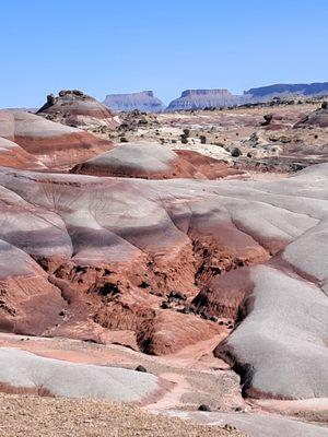 Waterpocket Adventure Company