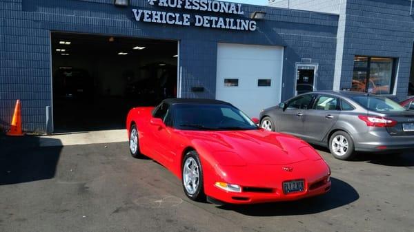 Professional Vehicle Detailing