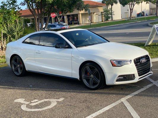 Clay-bar treatment and hi-speed orbital buff