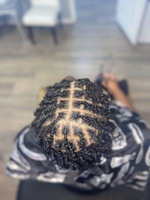 Two Strand Twist
