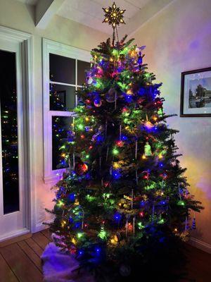 Kiwanis Club Of Los Altos Christmas Tree Lot