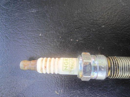 Wrong spark plug