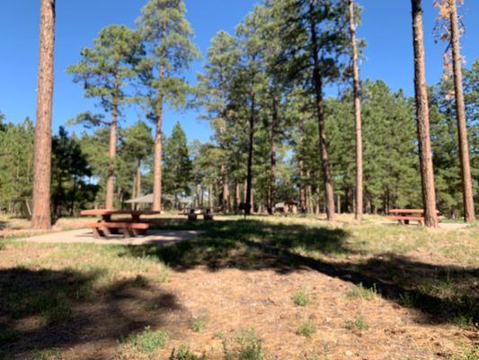 Jacob Lake Campground