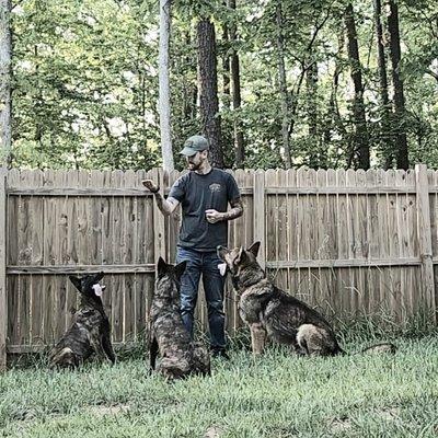 K9 Justice dog training
