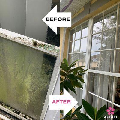 Astari Detailing Services