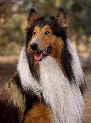 Oakwood Healthcare System