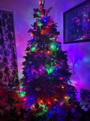 Winter Springs Christmas Trees