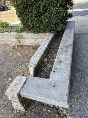 Richard A Portillo, OD