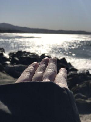 Half Moon Bay Flying Club