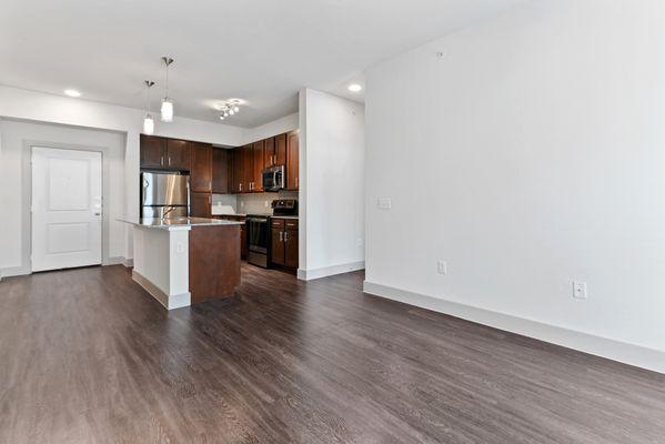 Living room and kitchen