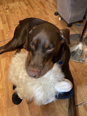 Crystal Clear Canine Training