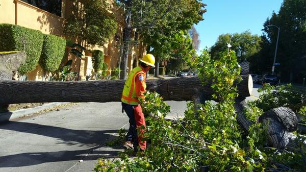 Los Angeles Bureau of Street Services