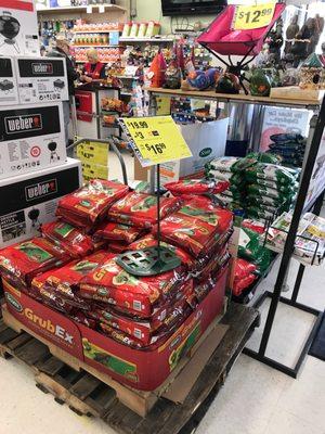 JC Licht Ace - Oriole Park