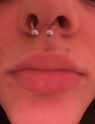 Aardvark Tattoo Company