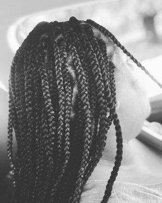 Braids By Renee