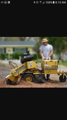 A Fresh Cut Lawn & Tree Service