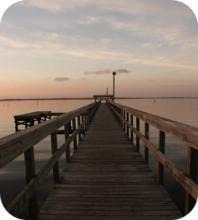 Federated Management Group