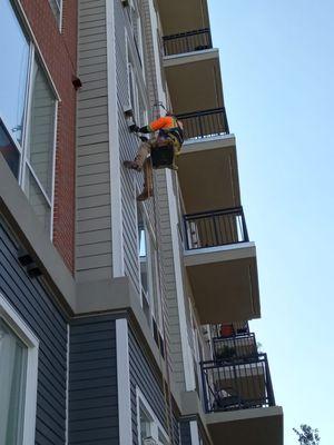 United Window Cleaning