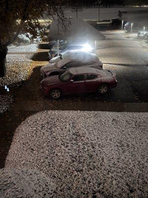 Arlington Apartments