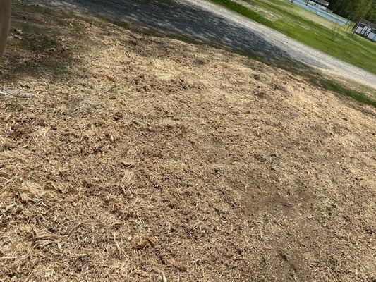 Twisted Tree Service