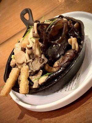 wine forest wild foods MUSHROOMS, young ginger, croûtons 17