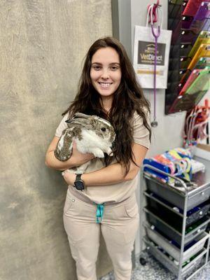 Keystone Animal Hospital