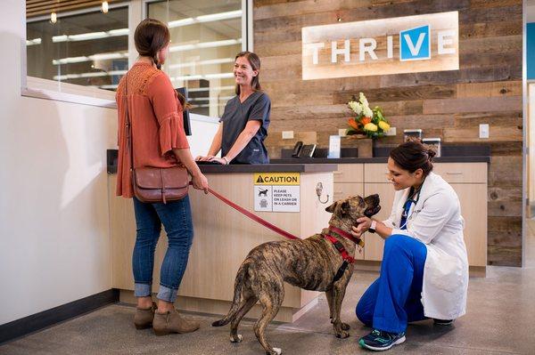 We can't wait to welcome you to our THRIVE family.