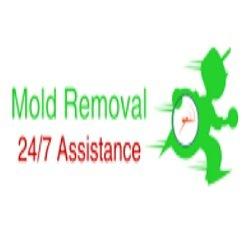 Expert Mold Removal