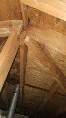 Jennifer Dolezel - Texas Premier Realty