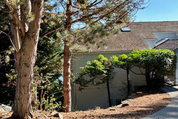 Removed and trimmed multiple trees in our front yard, side and rear yard, some of which were a danger to the house.