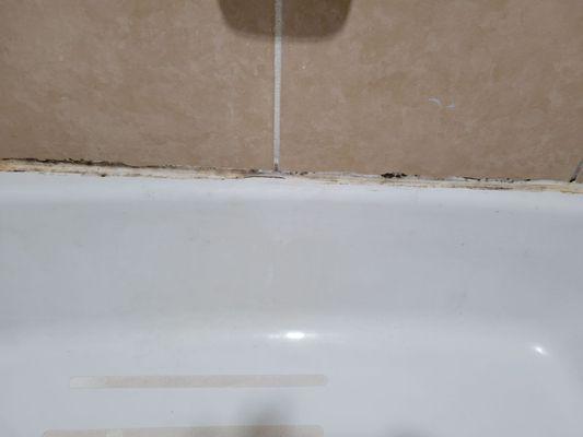 Mold stains around the tub